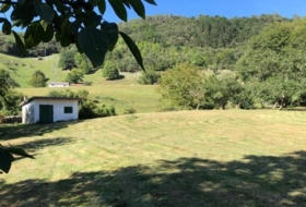 Foto 8