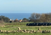 Land suitable for development for sale on España, Suances, ref: TR386898 photo