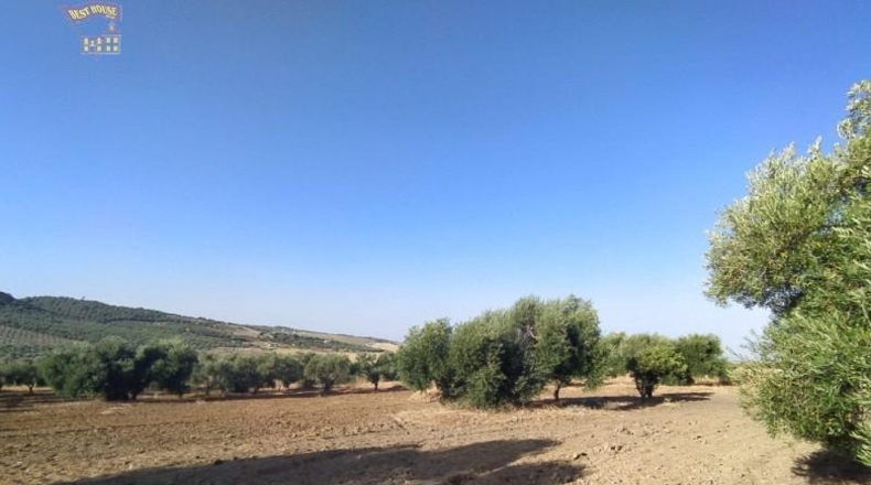 Cádiz - Arcos de la Frontera - 20000m2