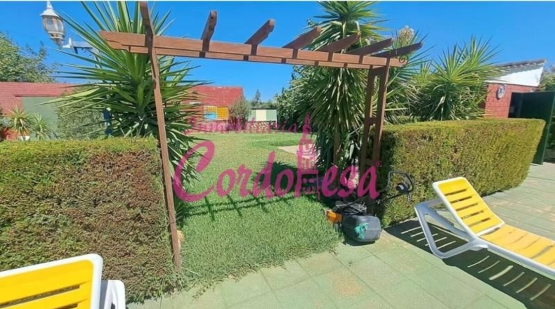Córdoba - Belmez - 1500m2