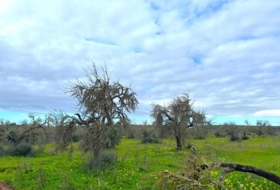 Campos 14200&nbsp;m²