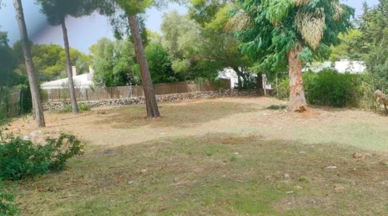 Valencia - La Alcudia - 600m2