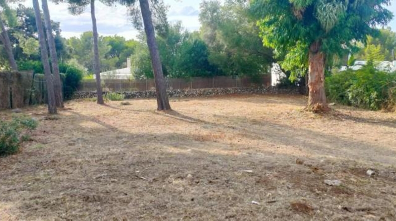 Valencia - La Alcudia - 600m2