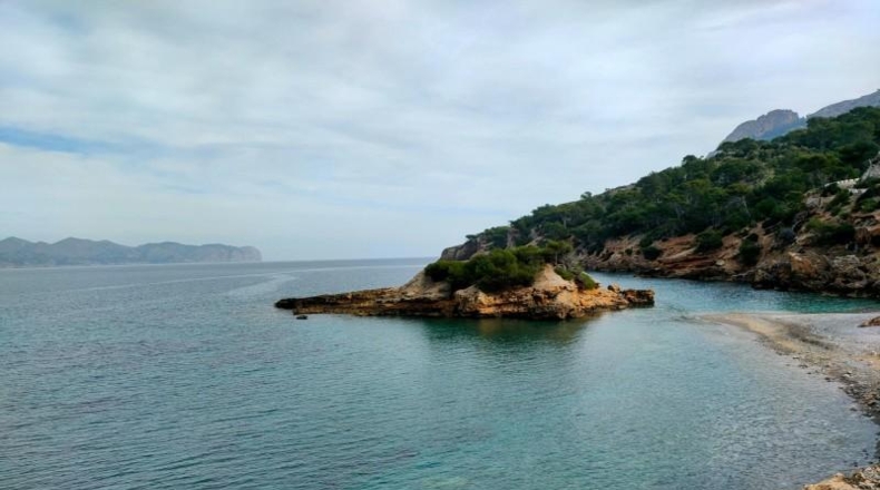 Valencia - La Alcudia - 600m2