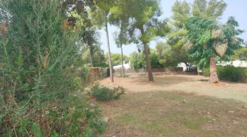 Valencia - La Alcudia - 600m2