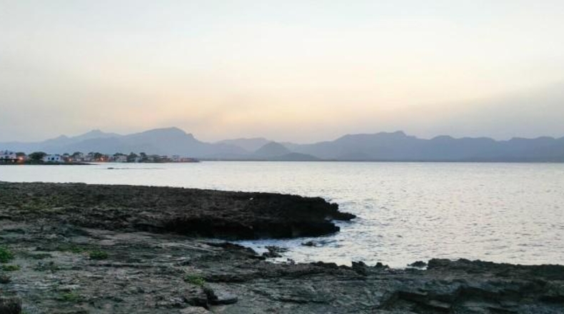 Valencia - La Alcudia - 600m2