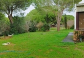 Casa de campo con terreno en venta en la España, Puerto Real, ref: TR373072 foto