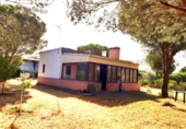 Casa de campo con terreno en venta en la España, Puerto Real, ref: TR373072 foto
