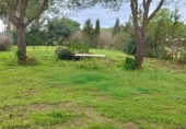 Casa de campo con terreno en venta en la España, Puerto Real, ref: TR373072 foto