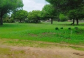 Casa de campo con terreno en venta en la España, Puerto Real, ref: TR373072 foto
