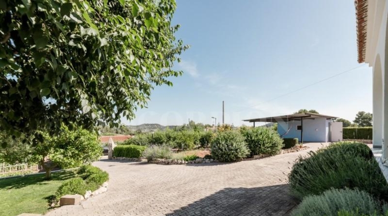 Valencia - Godelleta - 1650m2