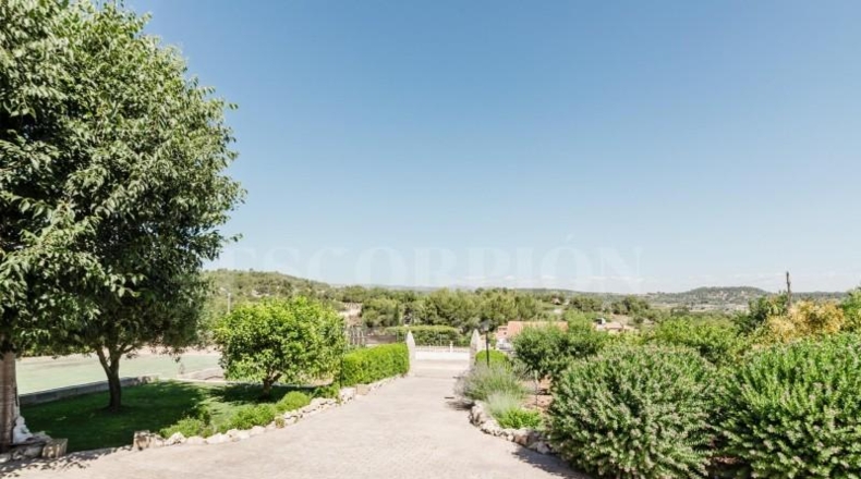 Valencia - Godelleta - 1650m2