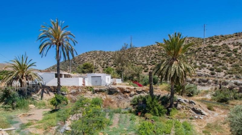 Almería - Pulpí - 11000m2