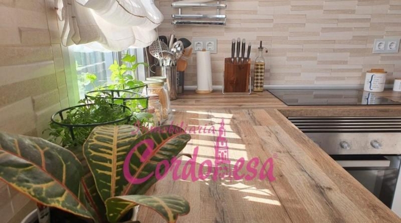 Córdoba - Almodóvar del Río - 790m2