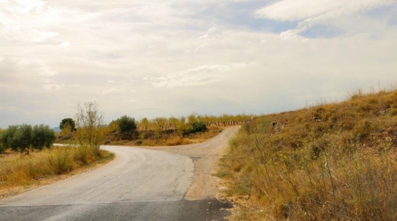 Albacete - Montealegre del Castillo - 71572m2