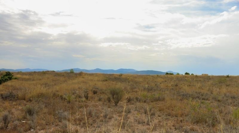 Albacete - Montealegre del Castillo - 71572m2