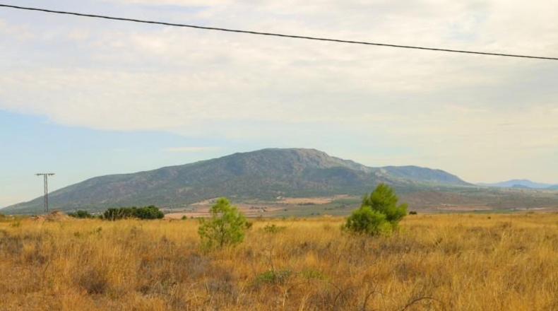 Albacete - Montealegre del Castillo - 71572m2