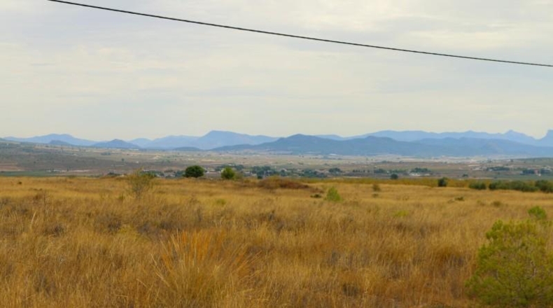 Albacete - Montealegre del Castillo - 71572m2