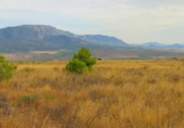 Terreno no urbanizable en venta en la España, Montealegre del Castillo, ref: TR406921 foto