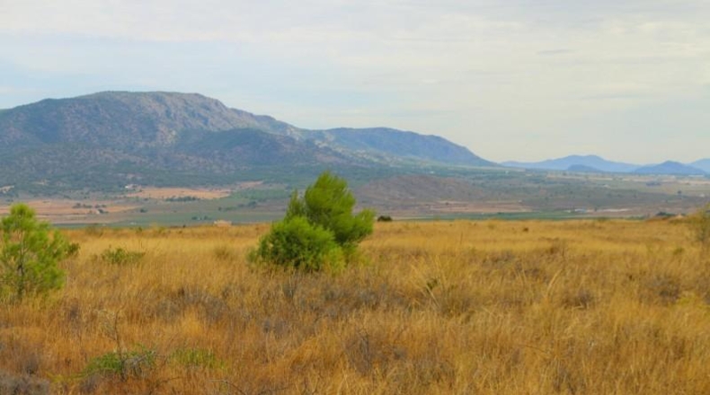 Albacete - Montealegre del Castillo - 71572m2