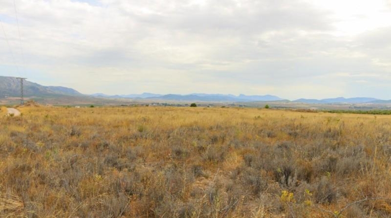Albacete - Montealegre del Castillo - 71572m2
