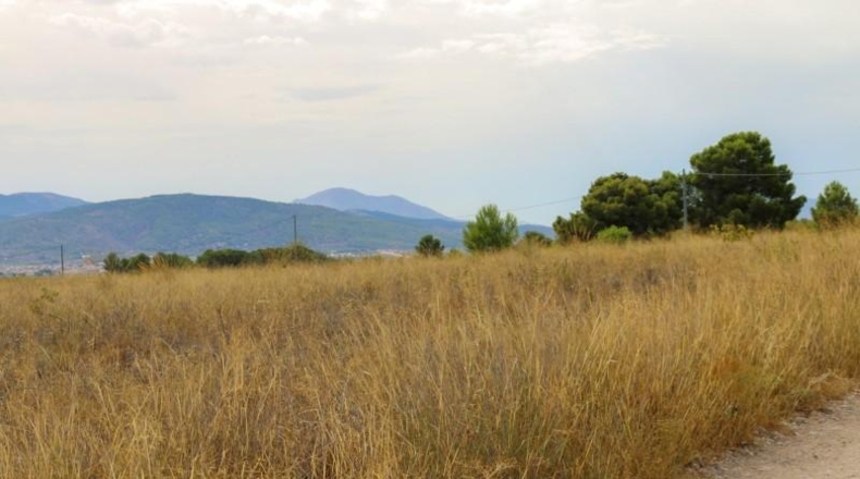 Albacete - Montealegre del Castillo - 71572m2