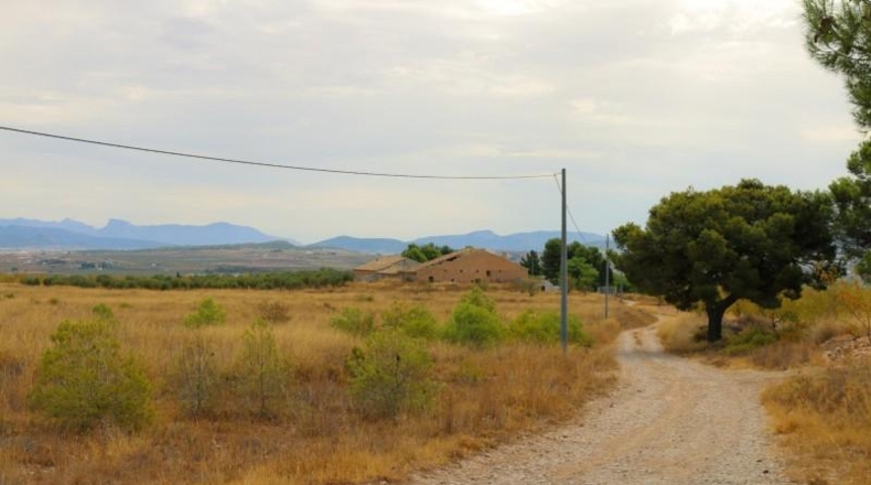 Albacete - Montealegre del Castillo - 71572m2