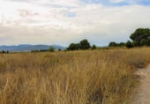 Terreno no urbanizable en venta en la España, Montealegre del Castillo, ref: TR406921 foto