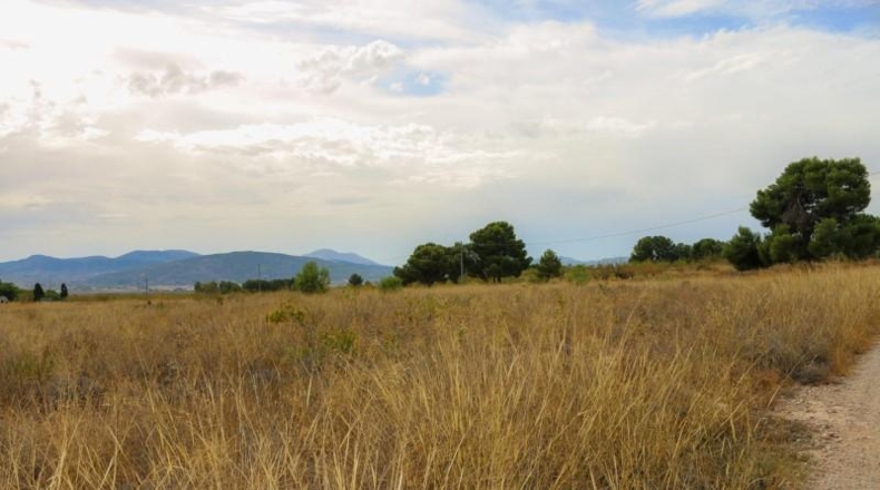 Albacete - Montealegre del Castillo - 71572m2