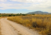 Terreno no urbanizable en venta en la España, Montealegre del Castillo, ref: TR406921 foto