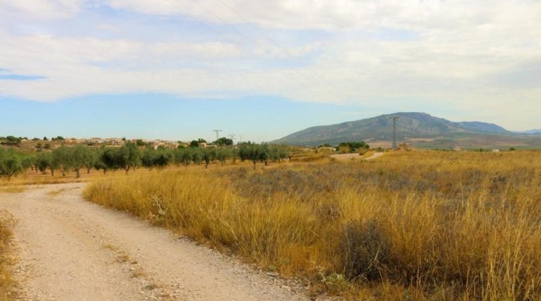 Albacete - Montealegre del Castillo - 71572m2
