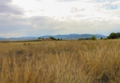 Terreno no urbanizable en venta en la España, Montealegre del Castillo, ref: TR406921 foto