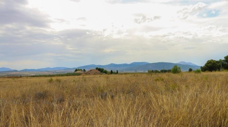 Albacete - Montealegre del Castillo - 71572m2