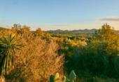 Suelo urbano en venta en la España, Manacor, ref: TR227890 foto