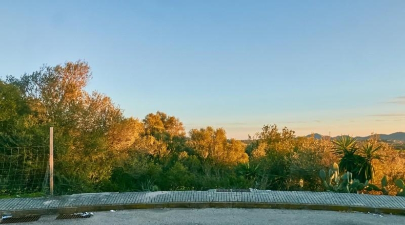 Balearic Islands - Manacor - 2180m2