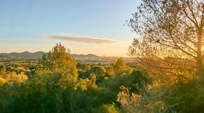 Balearic Islands - Manacor - 2180m2