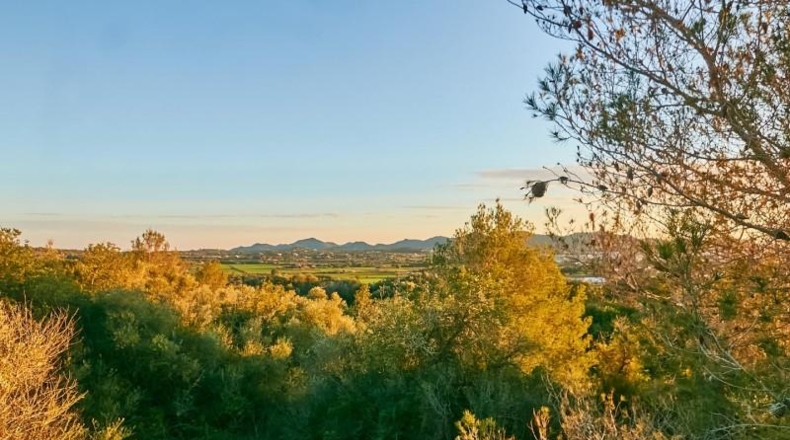 Balearic Islands - Manacor - 2180m2