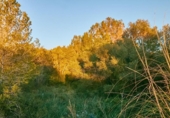 Suelo urbano en venta en la España, Manacor, ref: TR227890 foto