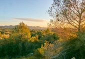 Suelo urbano en venta en la España, Manacor, ref: TR227890 foto
