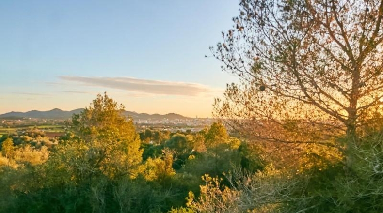 Balearic Islands - Manacor - 2180m2