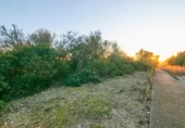 Suelo urbano en venta en la España, Manacor, ref: TR227890 foto