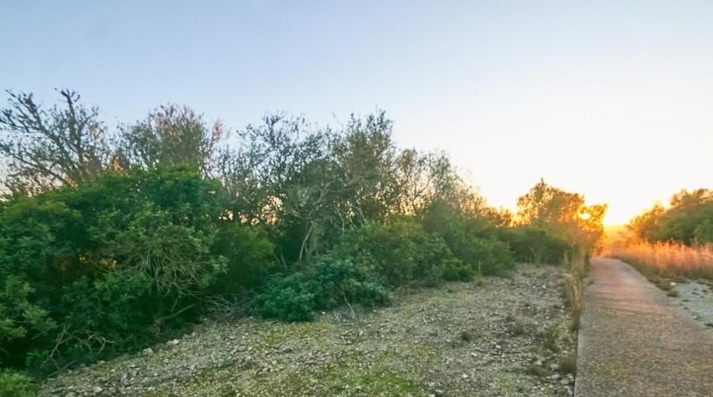 Balearic Islands - Manacor - 2180m2