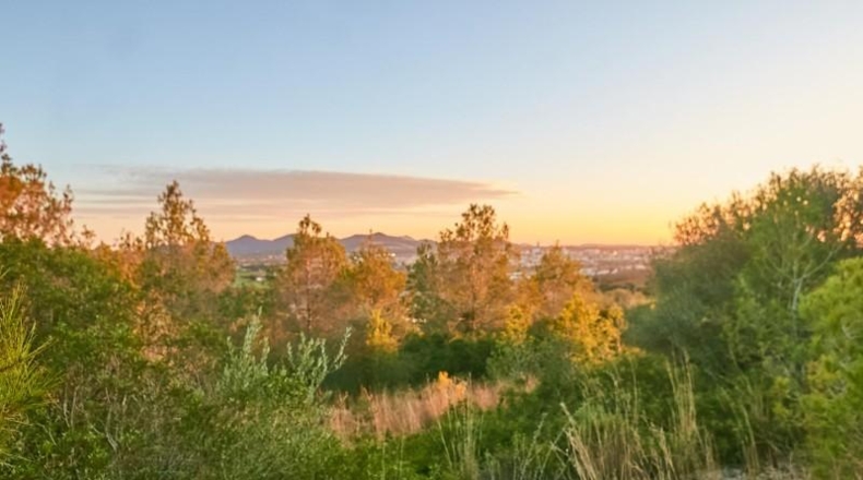 Balearic Islands - Manacor - 2180m2