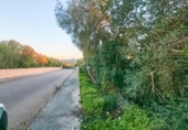 Suelo urbano en venta en la España, Manacor, ref: TR227890 foto
