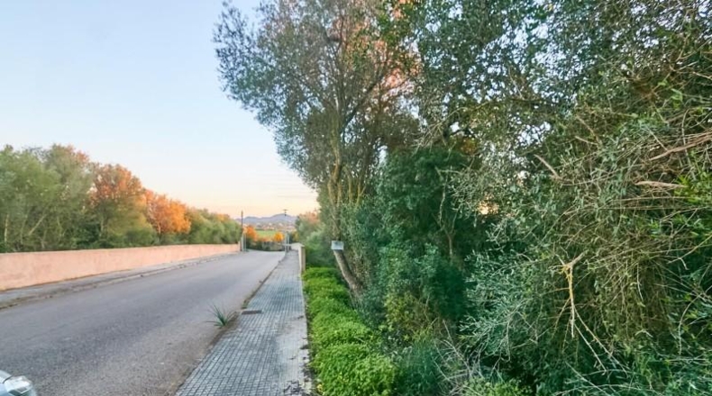 Balearic Islands - Manacor - 2180m2