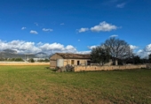 Non-developable land for sale on España, Binissalem, ref: TR236650 photo