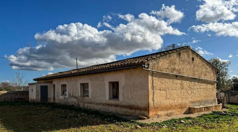 Balearic Islands - Binisalem - 6307m2