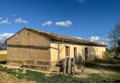 Non-developable land for sale on España, Binissalem, ref: TR236650 photo
