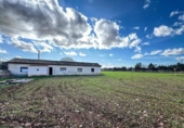 Non-developable land for sale on España, Binissalem, ref: TR236650 photo