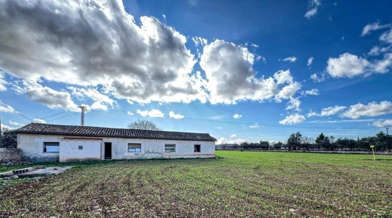 Balearic Islands - Binisalem - 6307m2